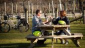 Wonderful day biking and wine tasting!