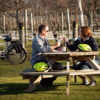Bike Rentals
