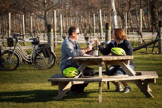 Self-Guided Wine Tours by Bike with Steve & Jo in Marlborough