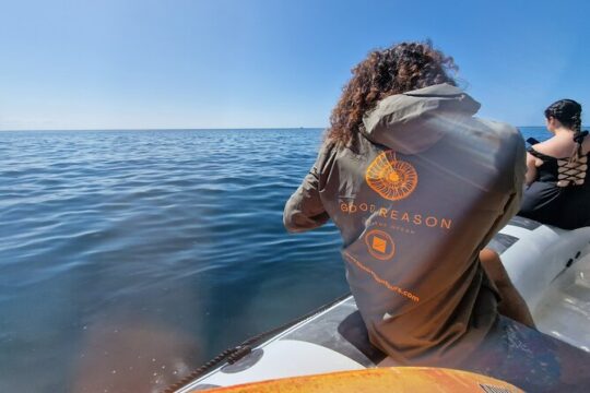 Boat Tour to the Beaches and Caves in Sesimbra