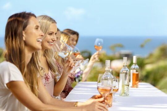 Classic Small Group Super Boutique Waiheke Island Winery Tour
