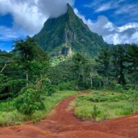 Bus & Minivan Tours