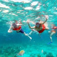 Catamaran Cruises