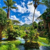 Tours & Sightseeing