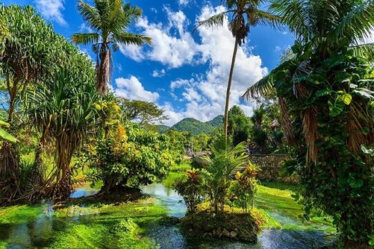 Rastafari Cultural ATV Community Experience from Montego Bay