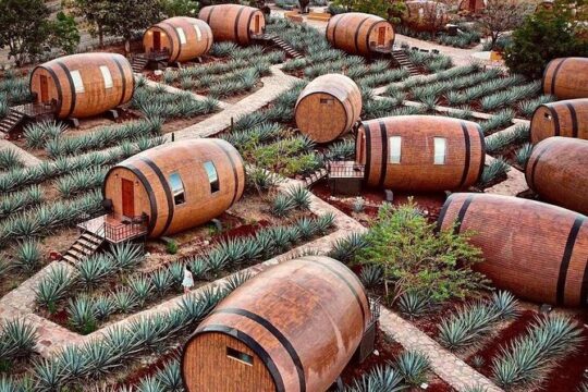 Destination Tequila: Supreme Private Experience