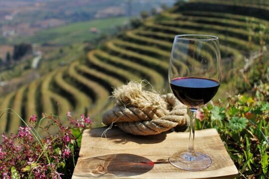 Private Douro Valley Tour Including 3 Wineries