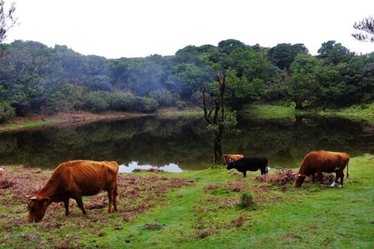 Private Tailored tour to the West in a 4WD. No shared groups!