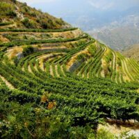 Day Trips & Excursions