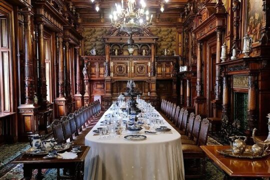 Dracula Castle Private Tour with Peles Castle and Brasov city
