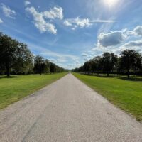 Tours & Sightseeing