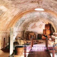 Walking & Biking Tours