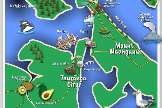 2-Hour Tauranga & Mount Maunganui City & Scenic Local Tour