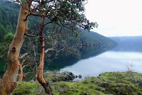 Private Half-Day Guided Nature Hike in Victoria, BC