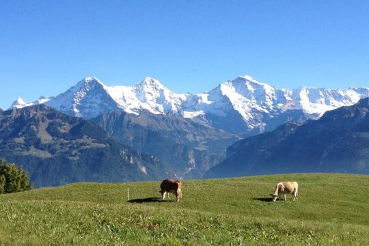 Private Interlaken and Jungfrau Region tour from Lucerne or Berne