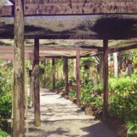 Private & Custom Tours