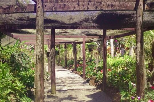 Personalize Nadi Day Tour