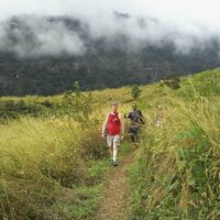 Private & Custom Tours