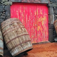 Wine Tasting & Winery Tours