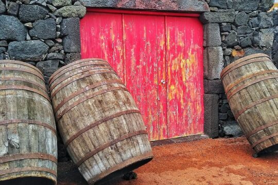 Wine Tour