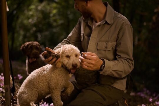 Truffle hunting in Rome for small groups