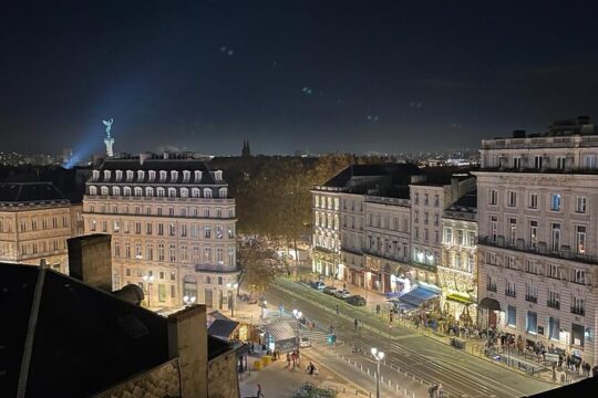 The essential in Bordeaux, private tour with a local