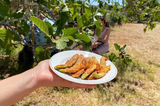 Algarve Mountais Tour with Picnic Lunch