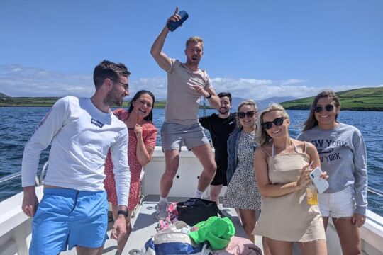 Private 1-Hour Guided Boat Tour in Dingle Peninsula