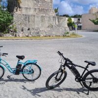 Bike Rentals