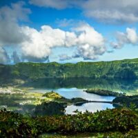 Coffee & Tea Tours
