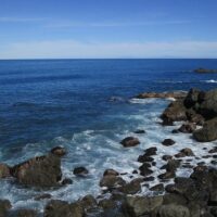 Bus & Minivan Tours