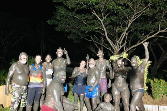 Garden Of Sleeping Giant ,Mudpool &Temple Tour From Coral Coast
