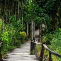 Private & Custom Tours
