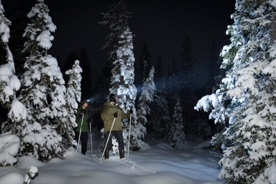 Evening Ski Trek to the Wilderness - Extra Small group