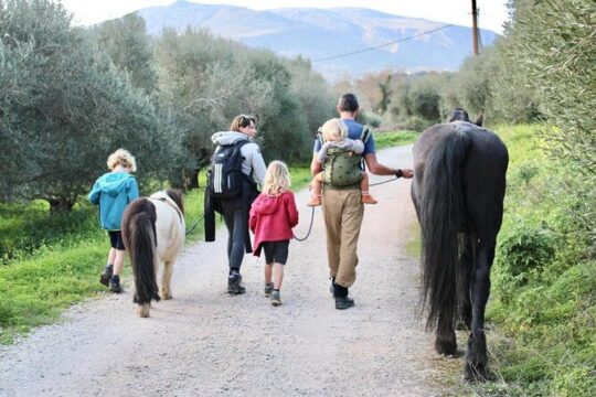 Olive Oil Tasting and Horse Walking Activity