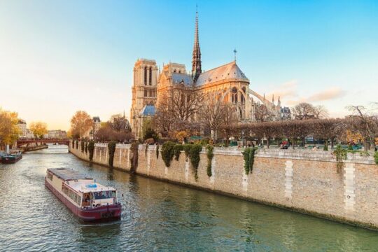 Half Day Paris Cruise & Walking Tours: Eiffel, Louvre, Notre-Dame