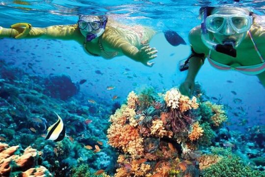 Discover Isla Mujeres in Catamaran. Buffet, Open Bar and Snorkel