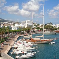 Cultural Tours