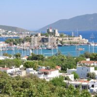 Shore Excursions