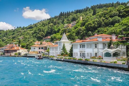 Daily Princes' Islands Tour with Lunch from Istanbul