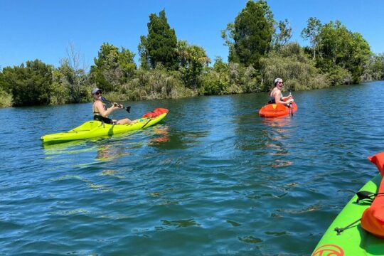 Full Day Single Kayak Rental In Crystal River