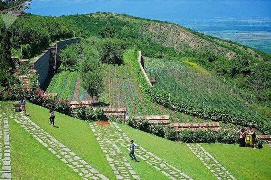 Kakheti: Sighnaghi city of love, Bodbe, Telavi, Free wine tasting