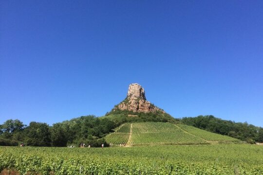 Macon & Beaujolais Wine Tour (9:00 am to 5:15 pm) - Small Group Tour from Lyon