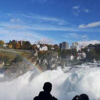 Eco Tours