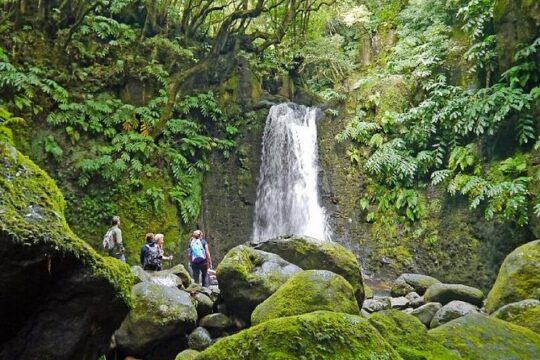 Hiking Faial da Terra + Van Tour Nordeste