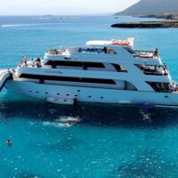 Cruises, Sailing & Water Tours