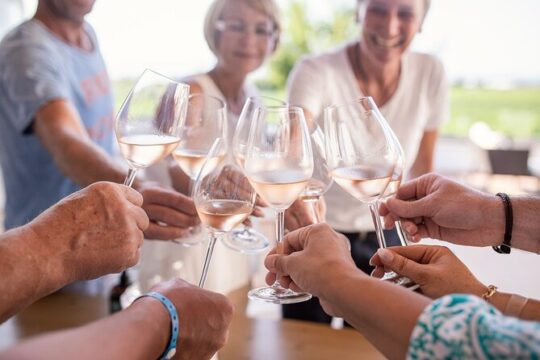 Half Day Wine Tasting with Dinner in Kos