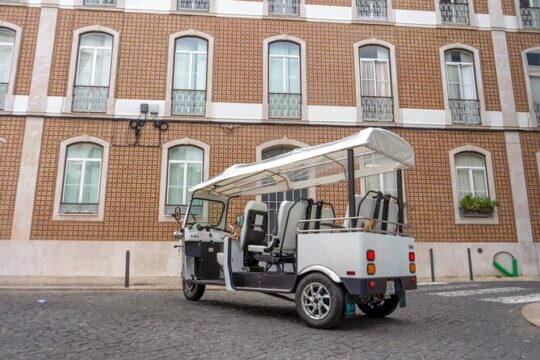 Half Day Lisbon Historical Neighborhoods & Street Art Tuk Tour