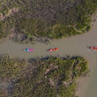 Boat Rentals