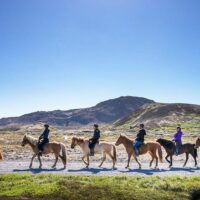 Horseback Riding